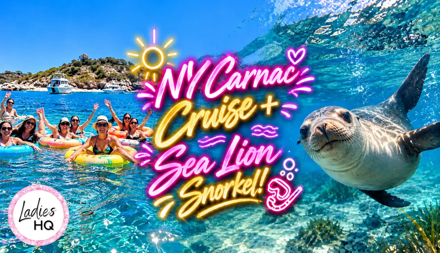 NEW YEAR CARNAC CRUISE + SEA LION SNORKEL